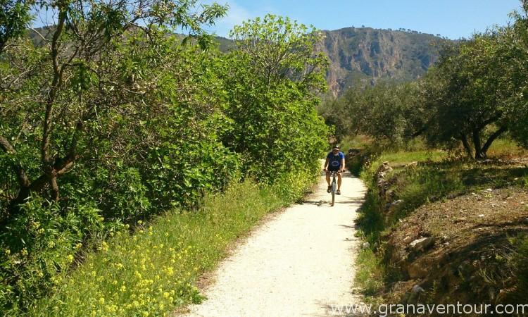 Ruta del Califato