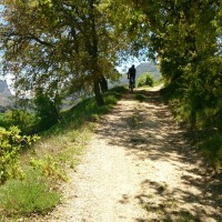 Ruta del Califato