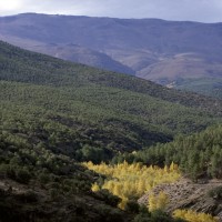 Ruta Transnevada
