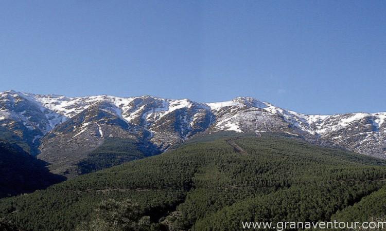 Ruta Transnevada