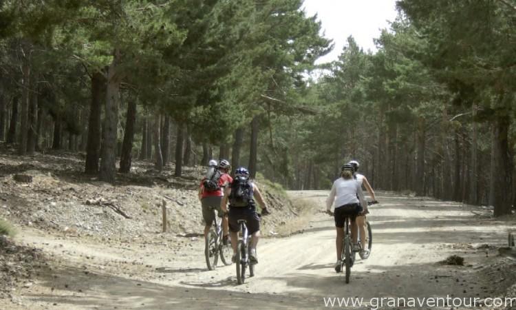 Ruta Transnevada