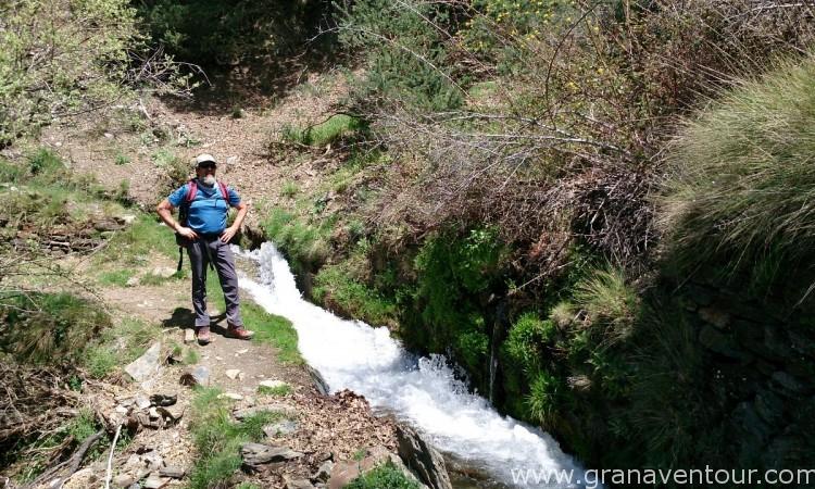 Sulayr