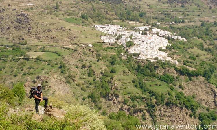 Sulayr