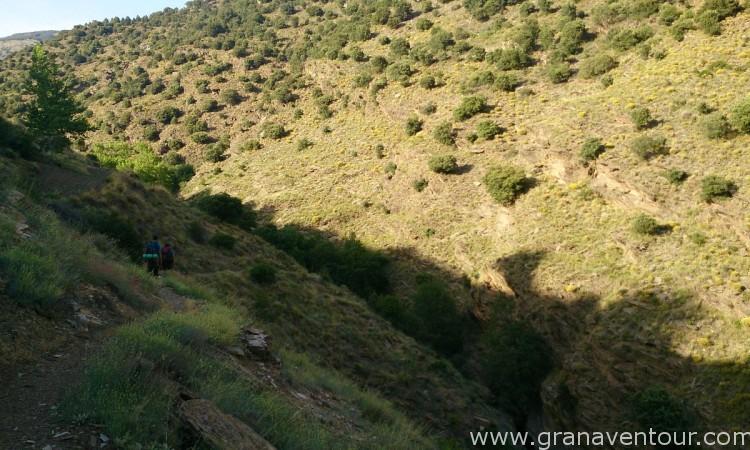 Sulayr