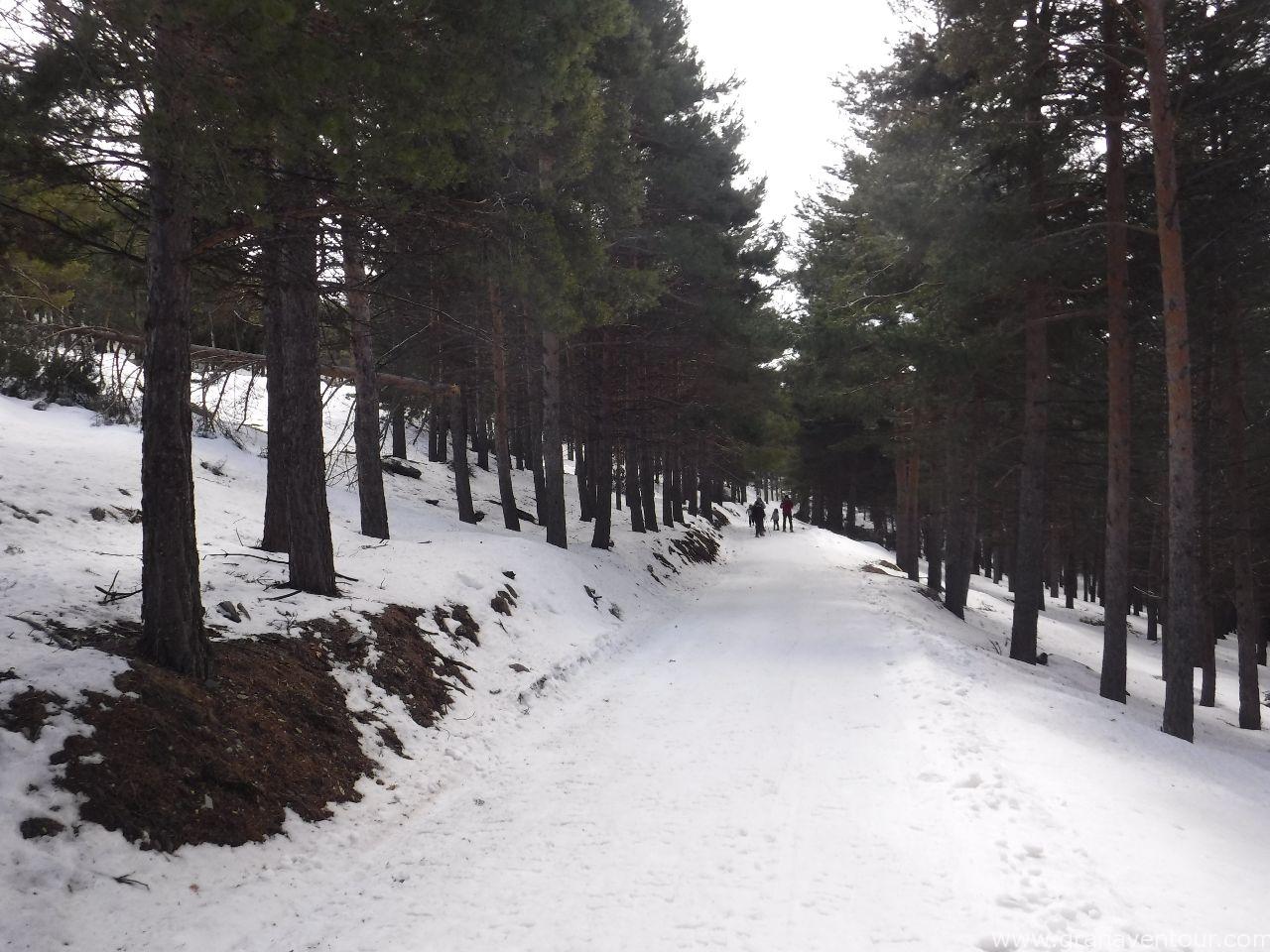 raquetas de nieve puerto de la ragua